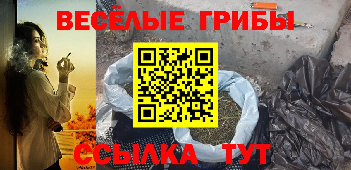 Ноябрьск  Псилоцибиновые грибы прущие грибы  Вход с VPN 