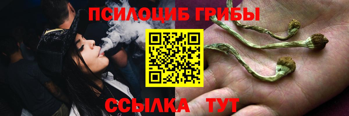 Псилоцибиновые грибы Psilocybine cubensis Ноябрьск